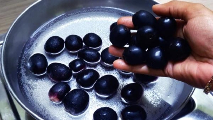 ನೇರಳೆ ಹಣ್ಣಿನ ಜ್ಯೂಸ್ (Jamun Juice) ಸಂಪೂರ್ಣ ರೆಸಿಪಿ 2 ನೇರಳೆ ಹಣ್ಣಿನ ಜ್ಯೂಸ್