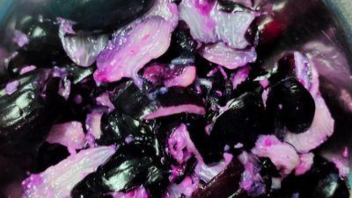 ನೇರಳೆ ಹಣ್ಣಿನ ಜ್ಯೂಸ್ (Jamun Juice) ಸಂಪೂರ್ಣ ರೆಸಿಪಿ 3 ನೇರಳೆ ಹಣ್ಣಿನ ಜ್ಯೂಸ್