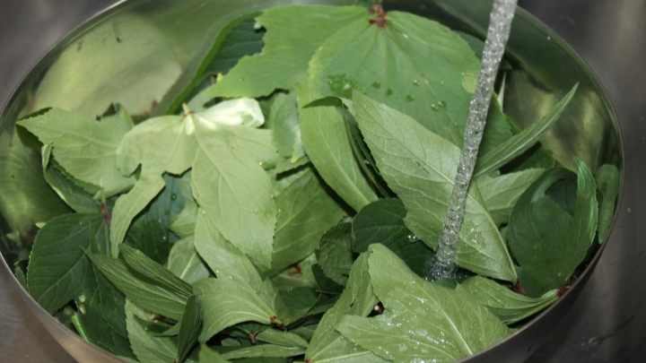ಗೋಂಗೂರ ಚಿಕನ್ ರೆಸಿಪಿ | Gongura Chicken Recipe in Kannada 2 ಗೋಂಗೂರ ಚಿಕನ್